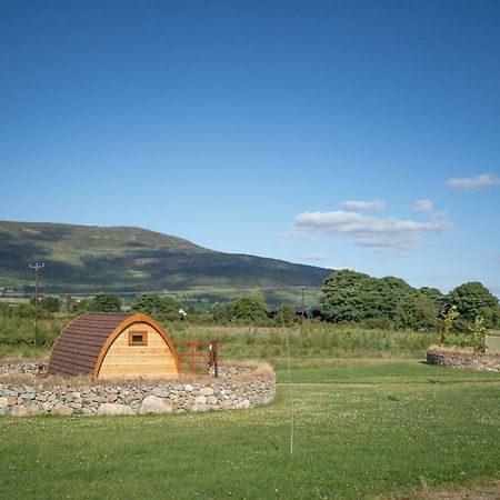 Bluebell Lane Glamping Hotel Newry Buitenkant foto
