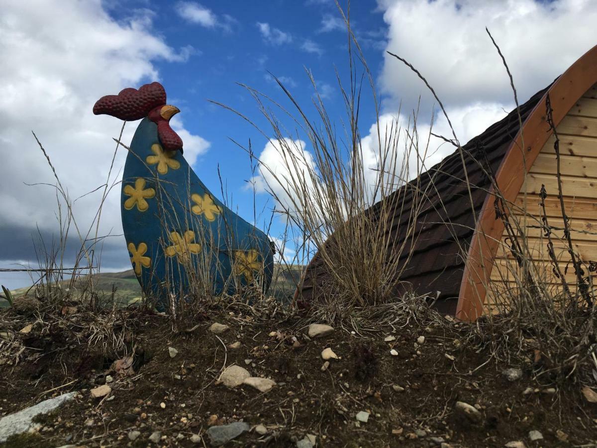 Bluebell Lane Glamping Hotel Newry Buitenkant foto