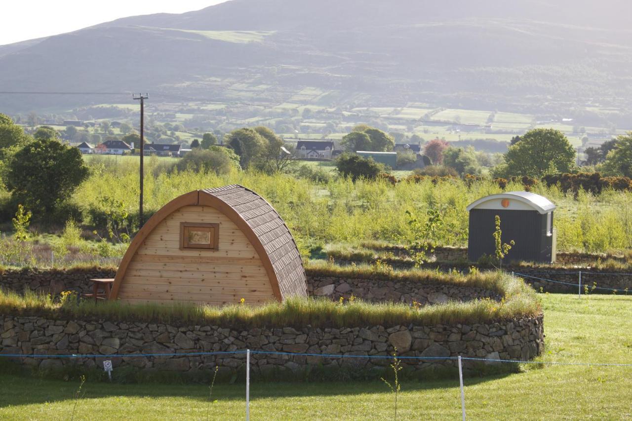Bluebell Lane Glamping Hotel Newry Buitenkant foto